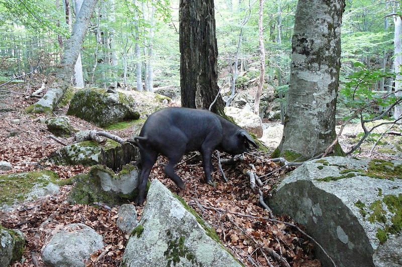 Site de rencontre en corse